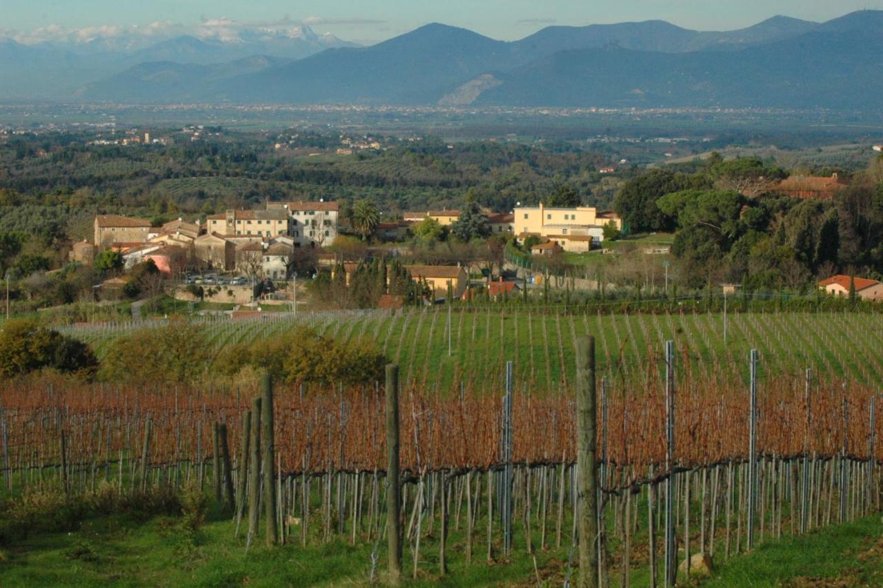 Апартаменти Ciglieri Santermo Casciana Terme Lari Pet&Bike Friendly Free Park Екстер'єр фото